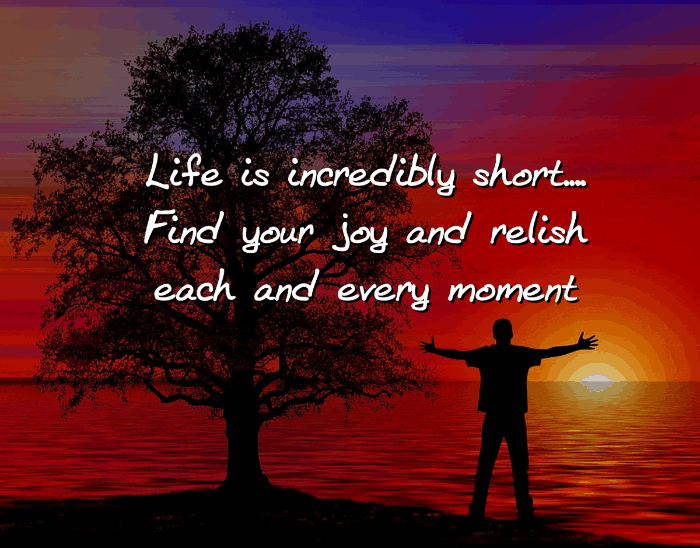 H:\A - MY PLR - PROD SITE\PLR PACKS IN PRGRS\LIFE FULLEST\LifeFullestPLR-FE\QualityLifeREPORT\Images\EDIT-IMAGES.png