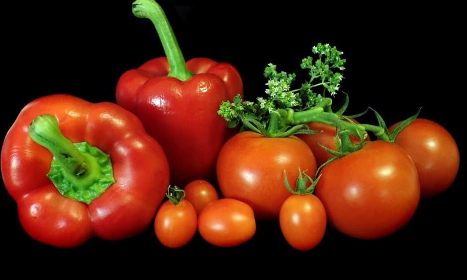 F:\A - MY PLR - PROD SITE\PLR PACKS IN PRGRS\FREEBIES-Giveaways\JUSTIN-Mood\LifestyleMoodREPORT\Images\vegetables-3926365_1280.jpg